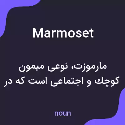 معنی marmoset به فارسی معنی marmoset به فارسی