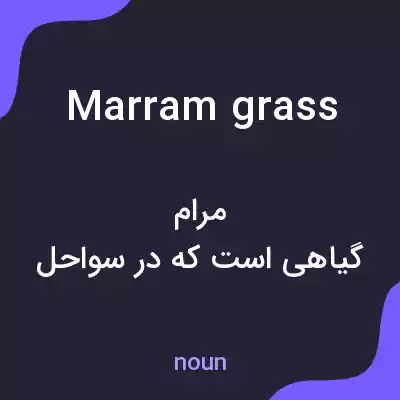 معنی marram grass به فارسی معنی marram grass به فارسی