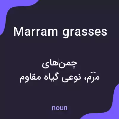 معنی marram grasses به فارسی