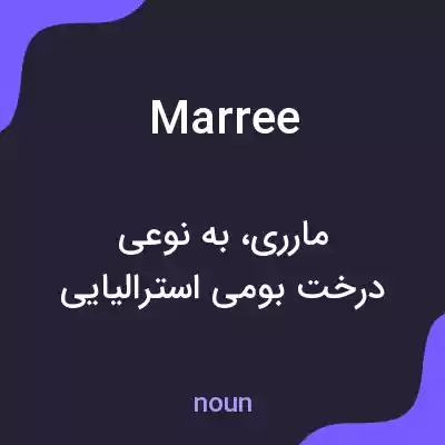 معنی marree به فارسی معنی marree به فارسی