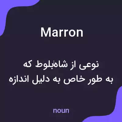 معنی marron به فارسی معنی marron به فارسی