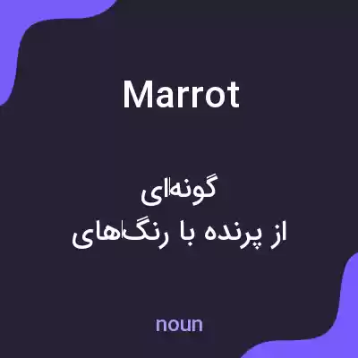 معنی marrot به فارسی معنی marrot به فارسی