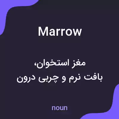معنی marrow به فارسی معنی marrow به فارسی