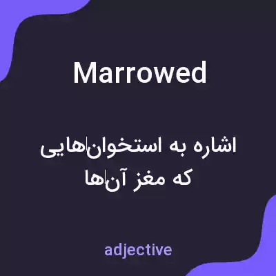 معنی marrowed به فارسی معنی marrowed به فارسی