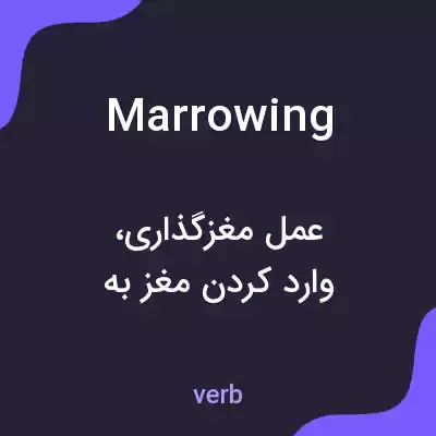 معنی marrowing به فارسی معنی marrowing به فارسی