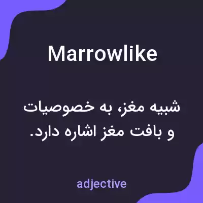 معنی marrowlike به فارسی معنی marrowlike به فارسی