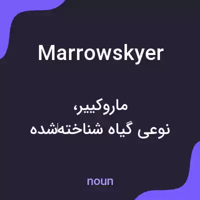 معنی marrowskyer به فارسی معنی marrowskyer به فارسی