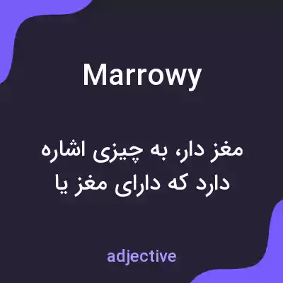 معنی marrowy به فارسی معنی marrowy به فارسی