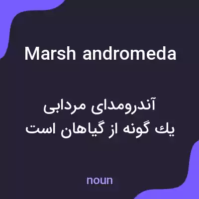 معنی marsh andromeda به فارسی معنی marsh andromeda به فارسی