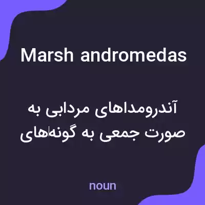 معنی marsh andromedas به فارسی معنی marsh andromedas به فارسی