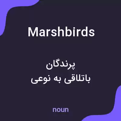 معنی marshbirds به فارسی معنی marshbirds به فارسی