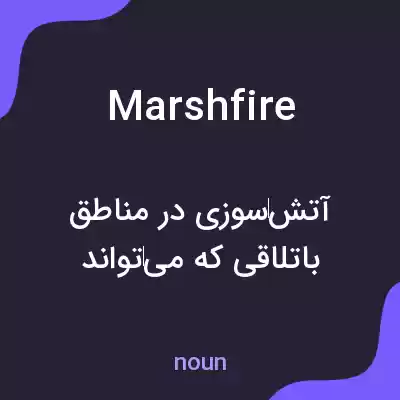 معنی marshfire به فارسی معنی marshfire به فارسی