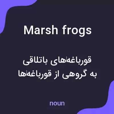 معنی marsh frogs به فارسی معنی marsh frogs به فارسی