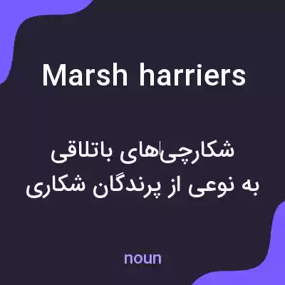 معنی marsh harriers به فارسی معنی marsh harriers به فارسی
