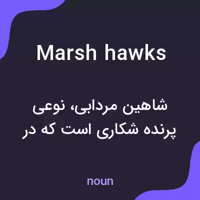 معنی marsh hawks به فارسی معنی marsh hawks به فارسی