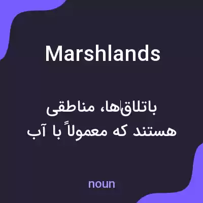 معنی marshlands به فارسی معنی marshlands به فارسی