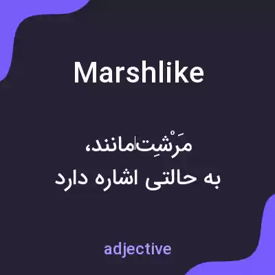 معنی marshlike به فارسی معنی marshlike به فارسی
