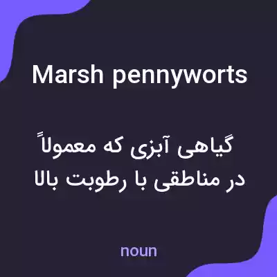 معنی marsh pennyworts به فارسی معنی marsh pennyworts به فارسی