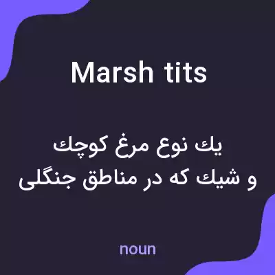 معنی marsh tits به فارسی معنی marsh tits به فارسی