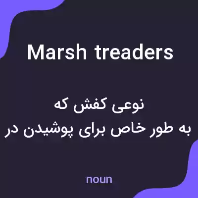 معنی marsh treaders به فارسی معنی marsh treaders به فارسی