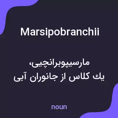 معنی marsipobranchii به فارسی معنی marsipobranchii به فارسی