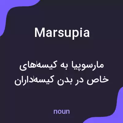 معنی marsupia به فارسی معنی marsupia به فارسی
