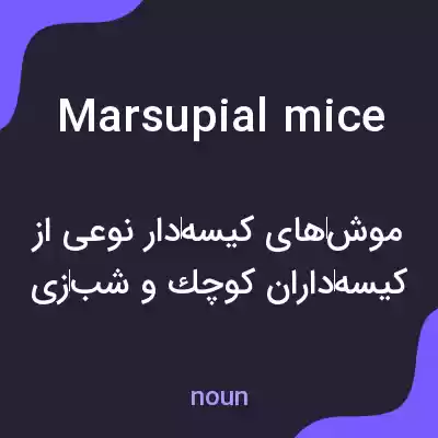 معنی marsupial mice به فارسی معنی marsupial mice به فارسی