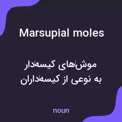 معنی marsupial moles به فارسی معنی marsupial moles به فارسی
