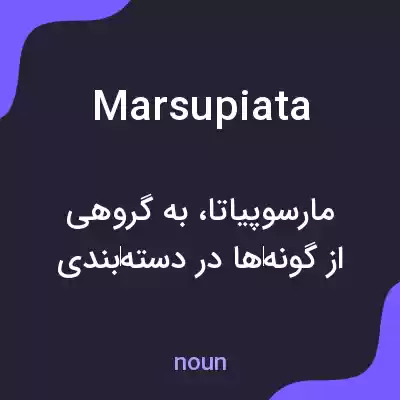 معنی marsupiata به فارسی معنی marsupiata به فارسی