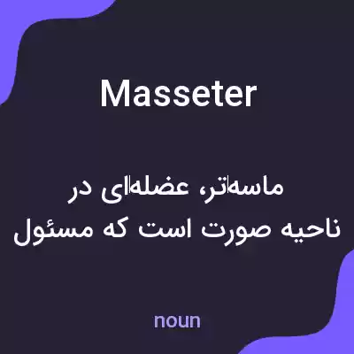 معنی masseter به فارسی معنی masseter به فارسی