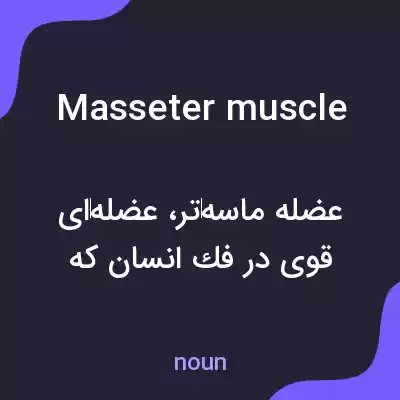 معنی masseter muscle به فارسی