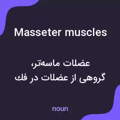 معنی masseter muscles به فارسی معنی masseter muscles به فارسی