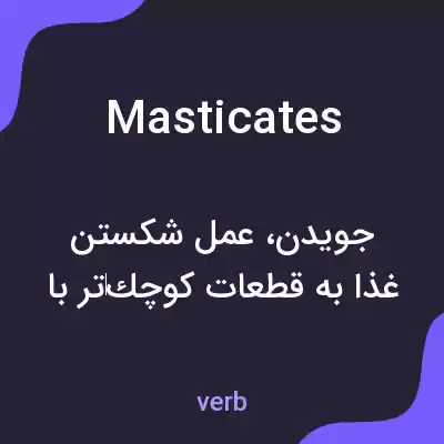 معنی masticates به فارسی معنی masticates به فارسی