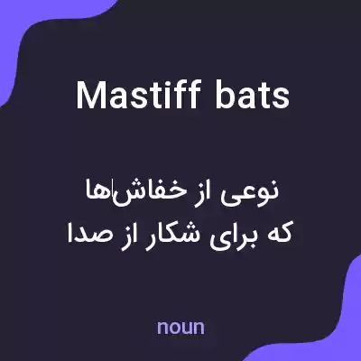 معنی mastiff bats به فارسی معنی mastiff bats به فارسی