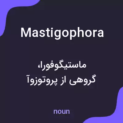 معنی mastigophora به فارسی معنی mastigophora به فارسی