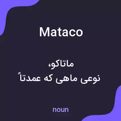 معنی mataco به فارسی معنی mataco به فارسی