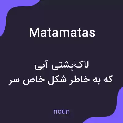 معنی matamatas به فارسی معنی matamatas به فارسی