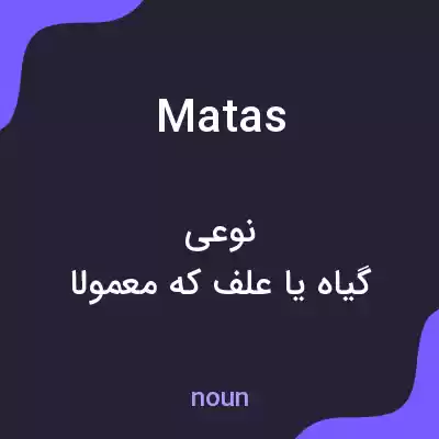 معنی matas به فارسی معنی matas به فارسی
