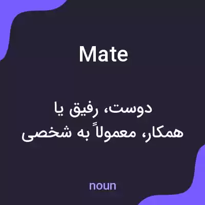 معنی mate به فارسی معنی mate به فارسی