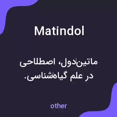 معنی matindol به فارسی معنی matindol به فارسی