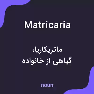 معنی matricaria به فارسی معنی matricaria به فارسی