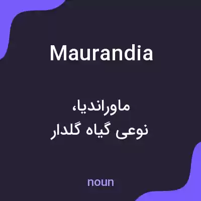 معنی maurandia به فارسی معنی maurandia به فارسی