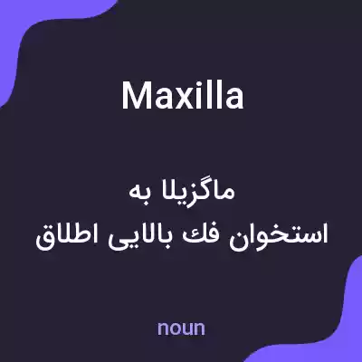 معنی maxilla به فارسی معنی maxilla به فارسی