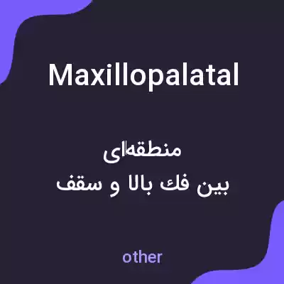 معنی maxillopalatal به فارسی معنی maxillopalatal به فارسی