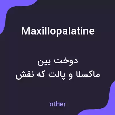 معنی maxillopalatine به فارسی معنی maxillopalatine به فارسی
