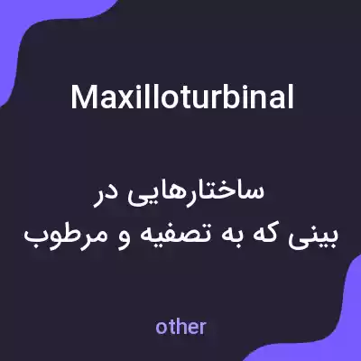 معنی maxilloturbinal به فارسی معنی maxilloturbinal به فارسی