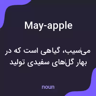 معنی may-apple به فارسی معنی may-apple به فارسی