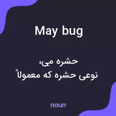 معنی may bug به فارسی معنی may bug به فارسی