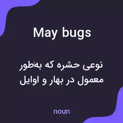 معنی may bugs به فارسی معنی may bugs به فارسی