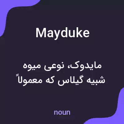 معنی mayduke به فارسی معنی mayduke به فارسی